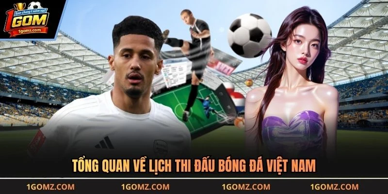 Tổng quan về lịch thi đấu bóng đá Việt Nam